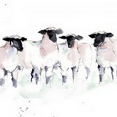 Minimalist Watercolor Sheep II