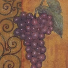 Scrolled Grapes I