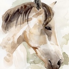 Soft Horse Profile I