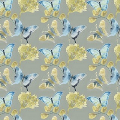Butterfly Concerto Collection I