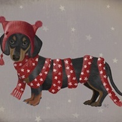Dachshund and Long Scarf
