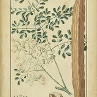 Vintage Turpin Botanical V