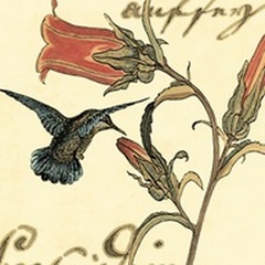 Small Hummingbird Reverie III