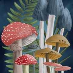Harvest Mushrooms II