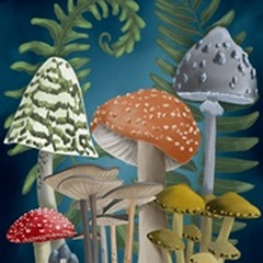 Harvest Mushrooms I