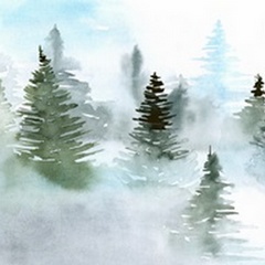 Foggy Evergreens II