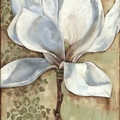 Magnolia Majesty I