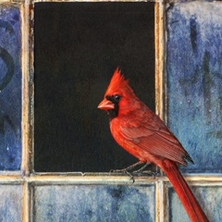 Cardinal Window