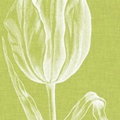 Chromatic Tulips VI