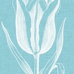 Chromatic Tulips IX