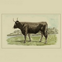 Antique Cow III