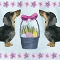 Puppy Easter Collection D