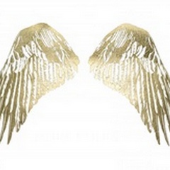 Gold Foil Wings I