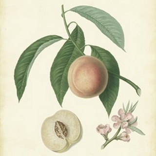 Plantation Peaches I