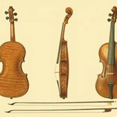 Antique Violins II