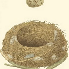 Antique Nest and Egg IV