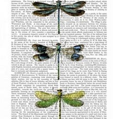 Dragonflies Print 2