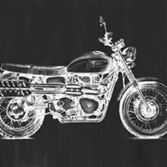 Motorcycle Graphic II