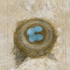 Nest - Robin