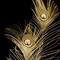 Plumes D'or II