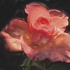 Painterly Flower IV
