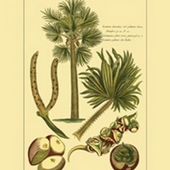 Printed Exotic Palm I