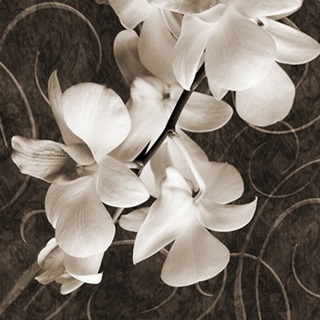 Orchid and Swirls I