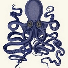 Octopus 9, Blue