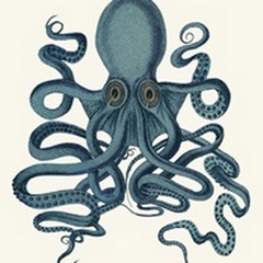 Octopus 9, Teal
