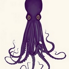 Octopus 8, Purple