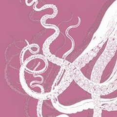 Octopus Tentacles White On Pink