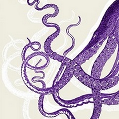 Octopus Tentacles Purple And White