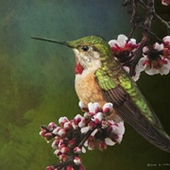 Hummer with Blossoms