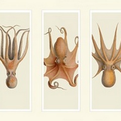 Trio of Octopus on 3 Panels