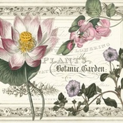 Botanic Garden Collection A
