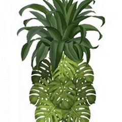 Pineapple, Monstera Leaf