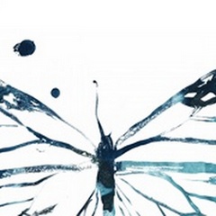 Butterfly Imprint III