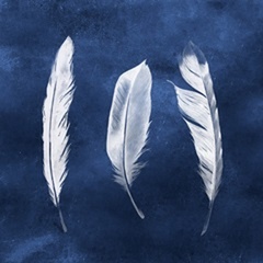 Cyanotype Feathers II
