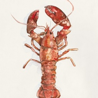 Salty Lobster II
