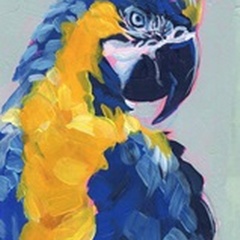 Pop Art Parrot II