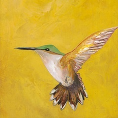 Sweet Hummingbird II