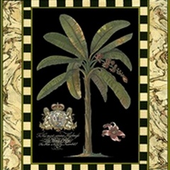 Small Bordered Palm II