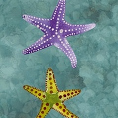 Twin Starfish II