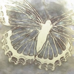 Neutral Butterfly I