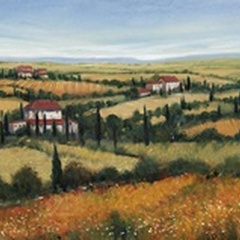 Hills of Tuscany II