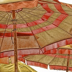 Umbrellas Italia I