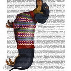 Dachshund With Woolly Sweater