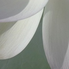 Lotus Detail I