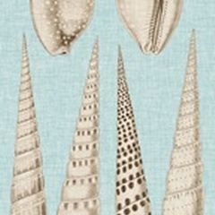Sepia & Aqua Shells VI