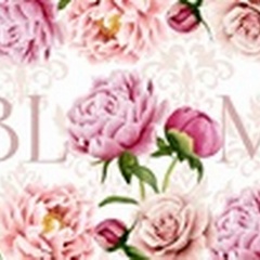 Bloom Collection D